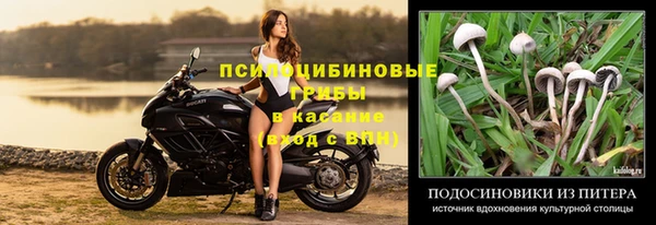 эйфоретик Нязепетровск
