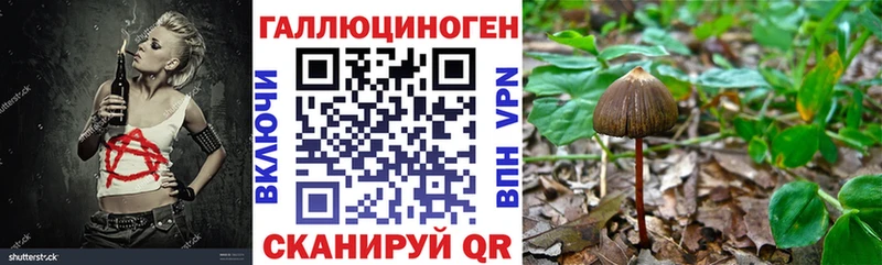 Галлюциногенные грибы Psilocybine cubensis  Амурск 