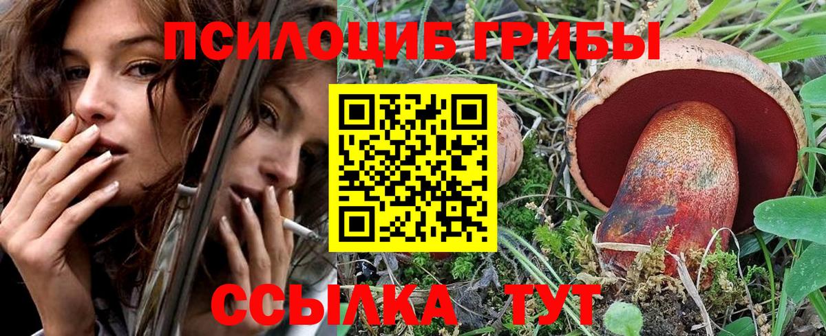 Псилоцибиновые грибы мицелий Амурск