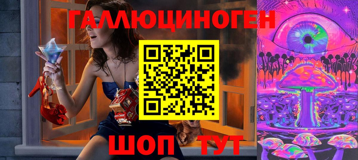 Псилоцибиновые грибы Cubensis  Амурск  Галлюциногенные грибы мицелий 