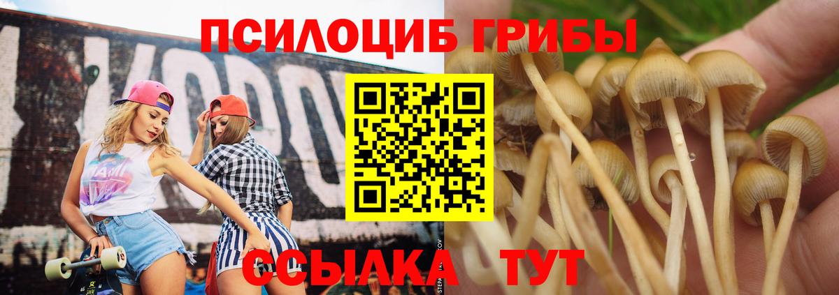 Галлюциногенные грибы Magic Shrooms  Галлюциногенные грибы мицелий  Вход с VPN  как найти закладки  Амурск 