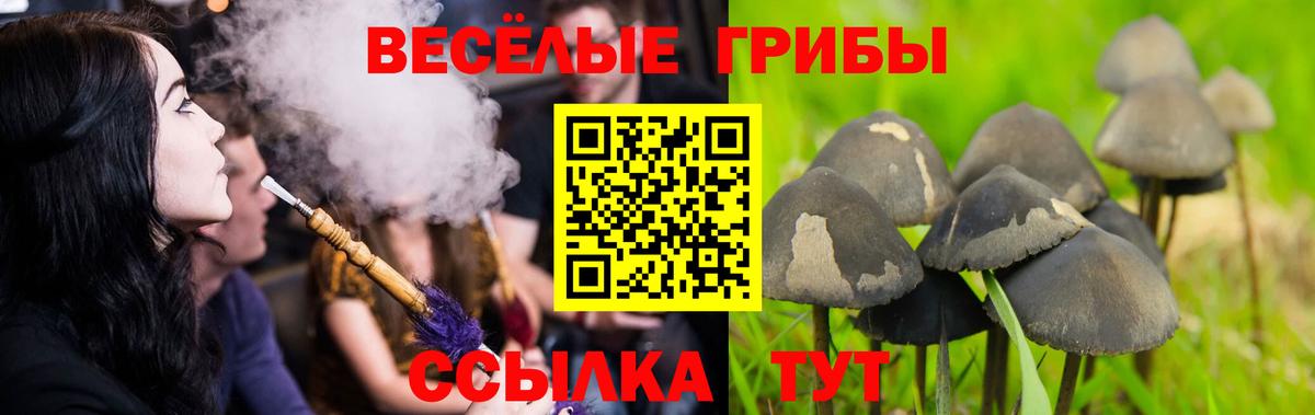 Галлюциногенные грибы ЛСД Амурск